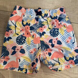 Ruggedbutts Toddler Boys Swim Trunks Flamingo Tropical 3T